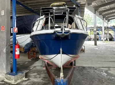 Clique para visualizar Wellcraft 220