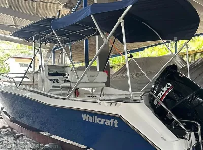 Clique para visualizar Wellcraft 220