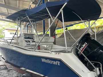 Wellcraft 220