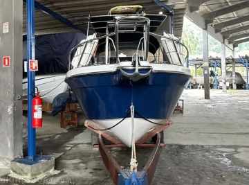 Wellcraft 220