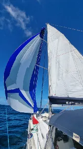 Clique para visualizar Delta 41