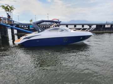 Cruise 275 
