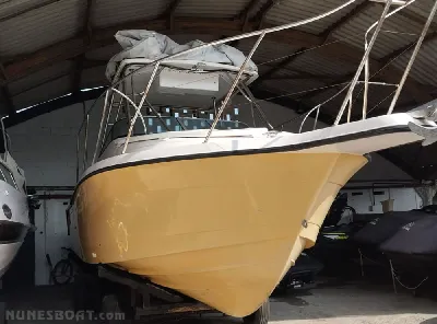 Clique para visualizar Fishing 280