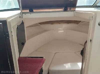 Clique para visualizar Fishing 280