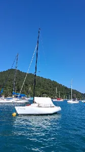 Clique para visualizar Nestor Volker - projetista Delta