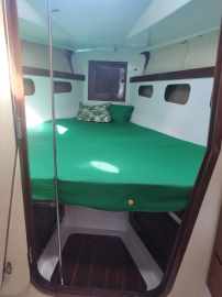 Brasilia 32