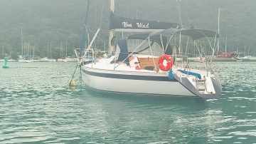 Velamar29 