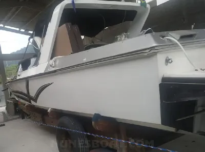 Clique para visualizar Panther 33