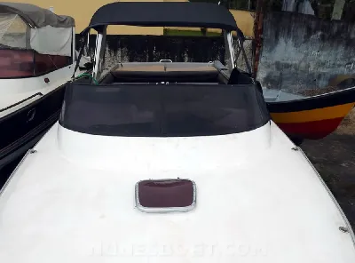 Clique para visualizar Panther 33