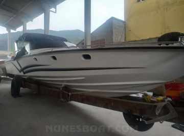 Panther 33