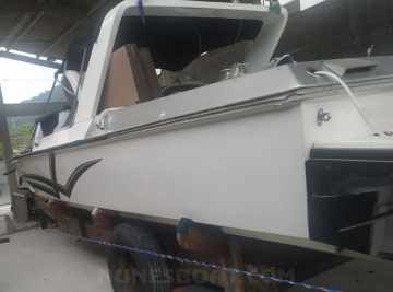 Panther 33