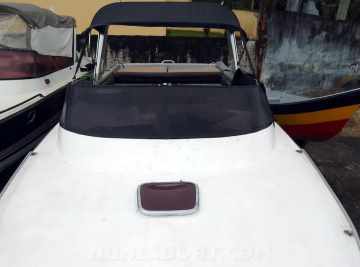 Panther 33