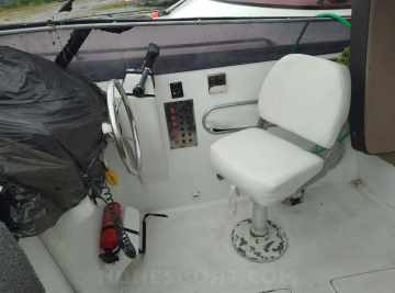Panther 33
