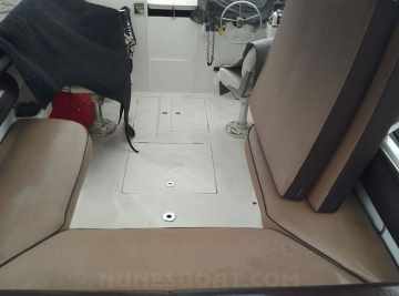 Panther 33