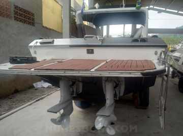 Panther 33
