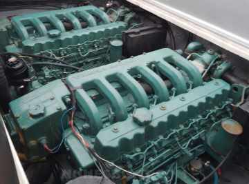 Panther 33