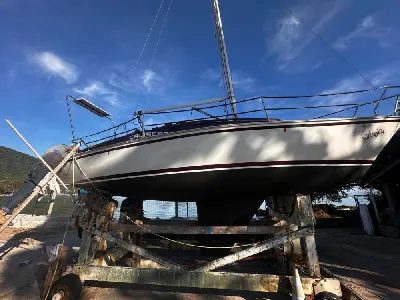 Clique para visualizar Cruiser 23