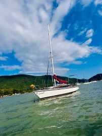 Cruiser 23