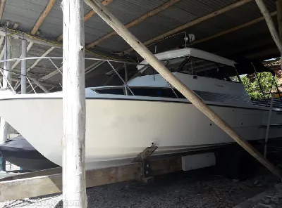 Clique para visualizar Carbrasmar 26