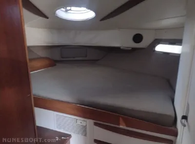 Clique para visualizar Chris Craft 41