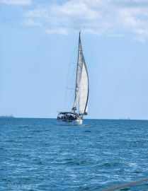 Oceanis 45