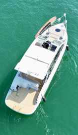 Coral 34
