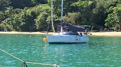 Clique para visualizar Spring 25