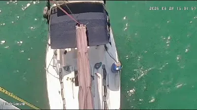 Clique para visualizar Spring 25