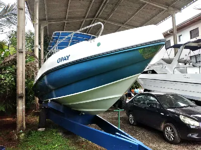 Clique para visualizar REAL 250 PRO FISH + MWM Sprinter 260 Diesel