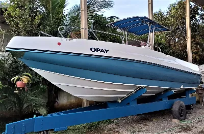 Clique para visualizar REAL 250 PRO FISH + MWM Sprinter 260 Diesel