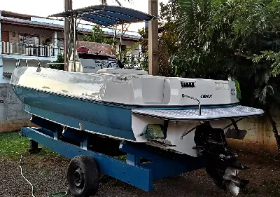 Clique para visualizar REAL 250 PRO FISH + MWM Sprinter 260 Diesel