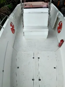 Clique para visualizar REAL 250 PRO FISH + MWM Sprinter 260 Diesel