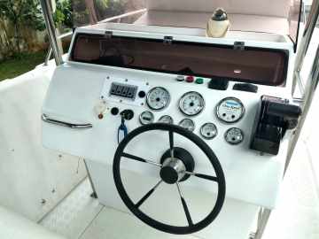 REAL 250 PRO FISH  + MWM Sprinter 260 Diesel 