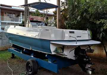 REAL 250 PRO FISH  + MWM Sprinter 260 Diesel 