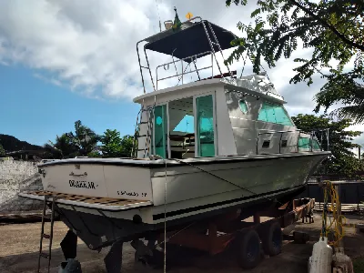 Carbrasmar 32.2 + Parellha Volvo D3 Diesel 