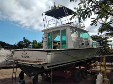 Carbrasmar 32.2 + Parellha Volvo D3 Diesel 