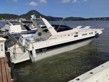 REAL 300 + Parelha MWM Sprint 4cc 170Hp 