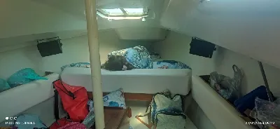 Clique para visualizar Spring 25