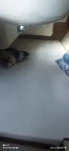 Clique para visualizar Spring 25