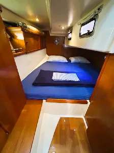 Clique para visualizar Delta 41