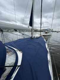 CRUISER 46