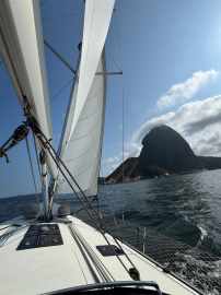 CRUISER 46