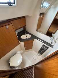 CRUISER 46