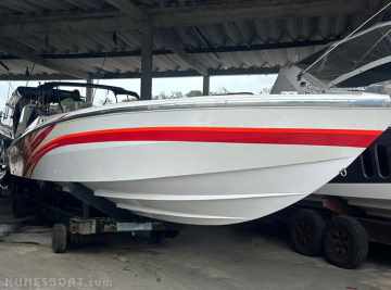 Scarab 38