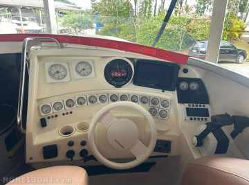 Scarab 38
