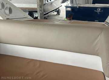 Scarab 38
