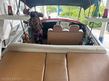Scarab 38