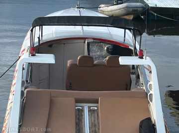 Scarab 38