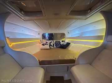 Scarab 38