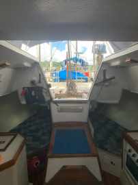 Velamar 31